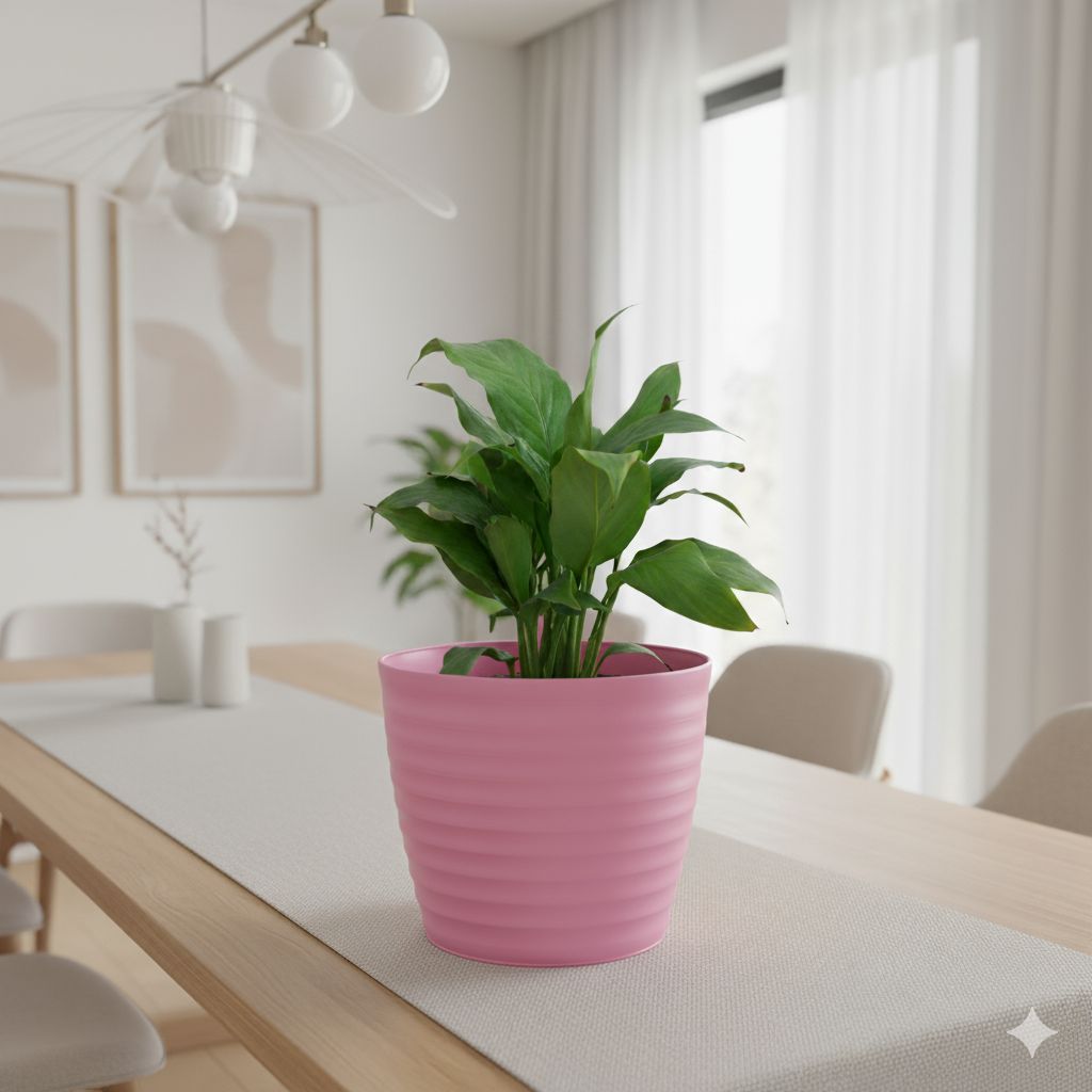 Peace Lily in 5 Inch Candy-Blush Pink Avora Premium Plastic Planter