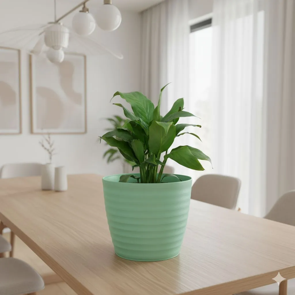 Peace Lily in 5 Inch Pastel Green Avora Premium Plastic Planter