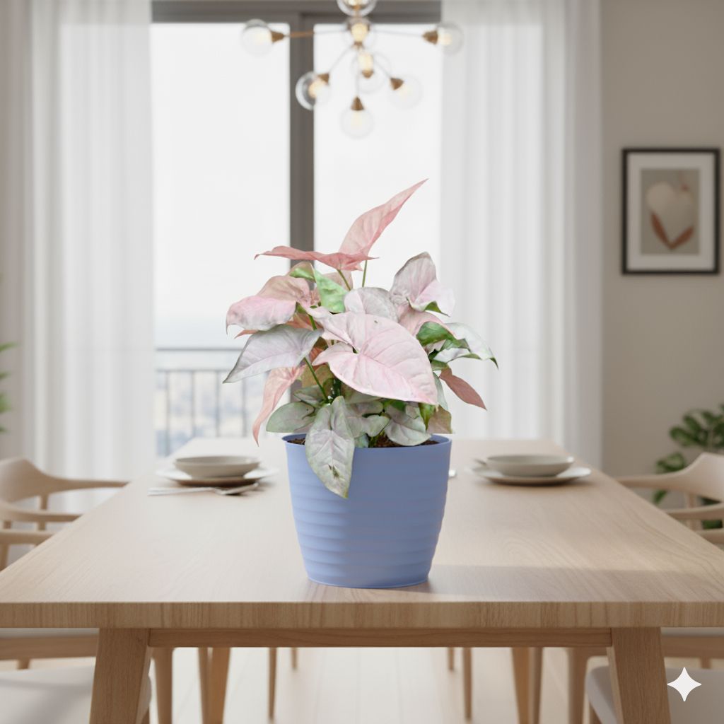 Syngonium Pink in 5 Inch Elvan Blue Avora Premium Plastic Planter