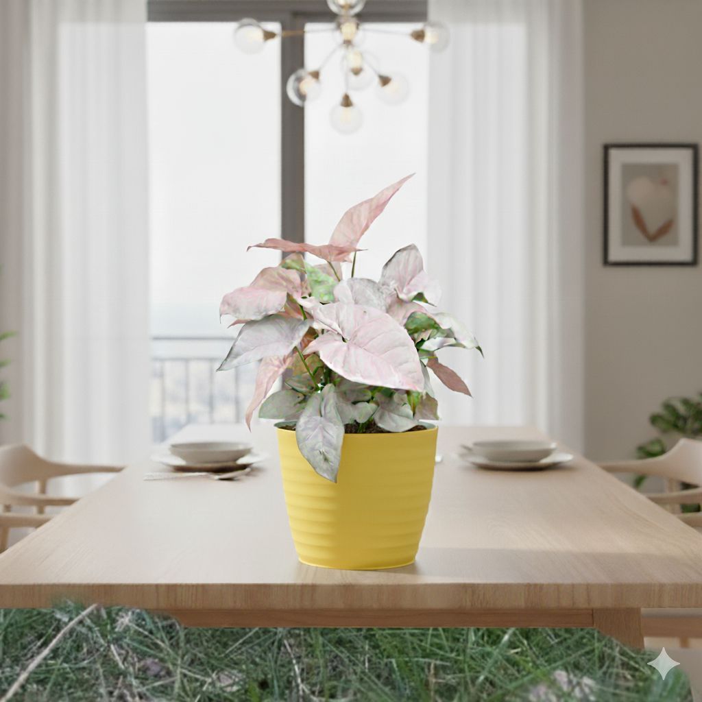 Syngonium Pink in 5 Inch Bloom Yellow Avora Premium Plastic Planter