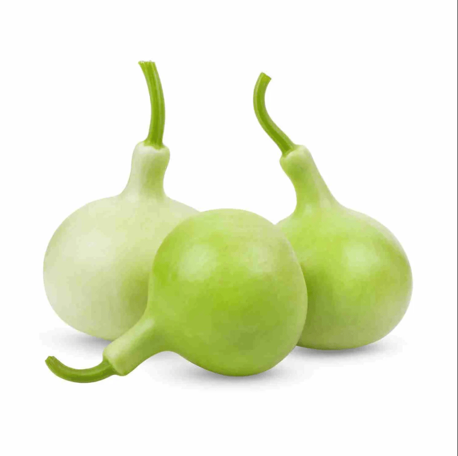 Bottle gourd / Lauki Lattu Green Seeds - Excellent Germination