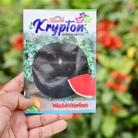 Watermelon Round Seeds - Excellent Germination