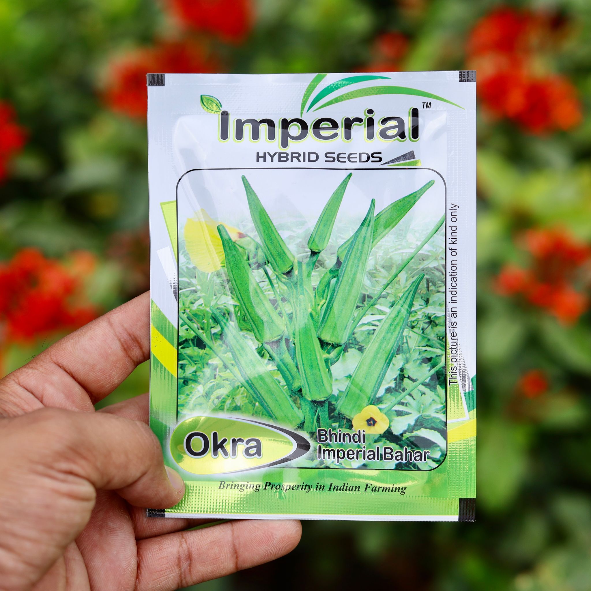 Bhindi / Arya / Lady Finger / Okra Seeds - Excellent Germination