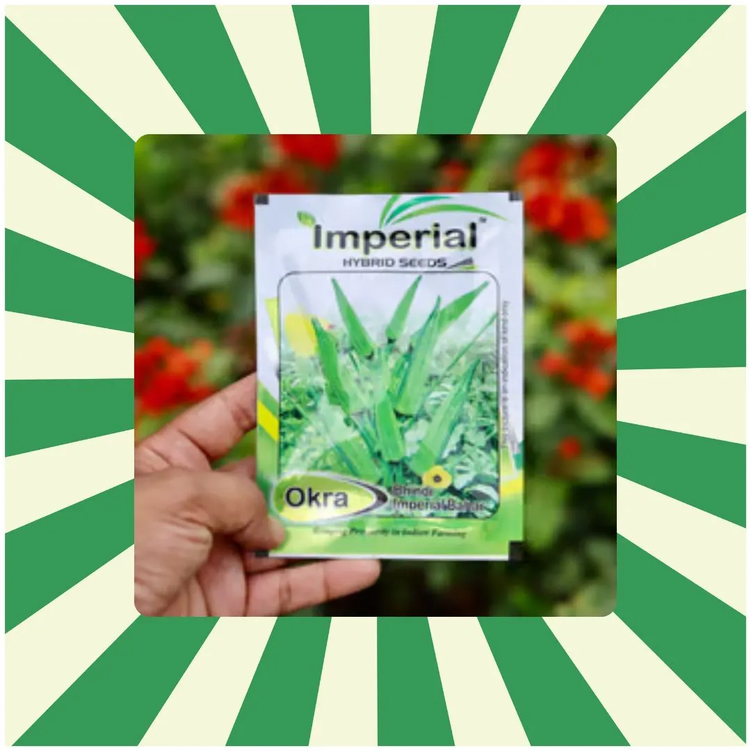 Bhindi / Arya / Lady Finger / Okra Seeds - Excellent Germination