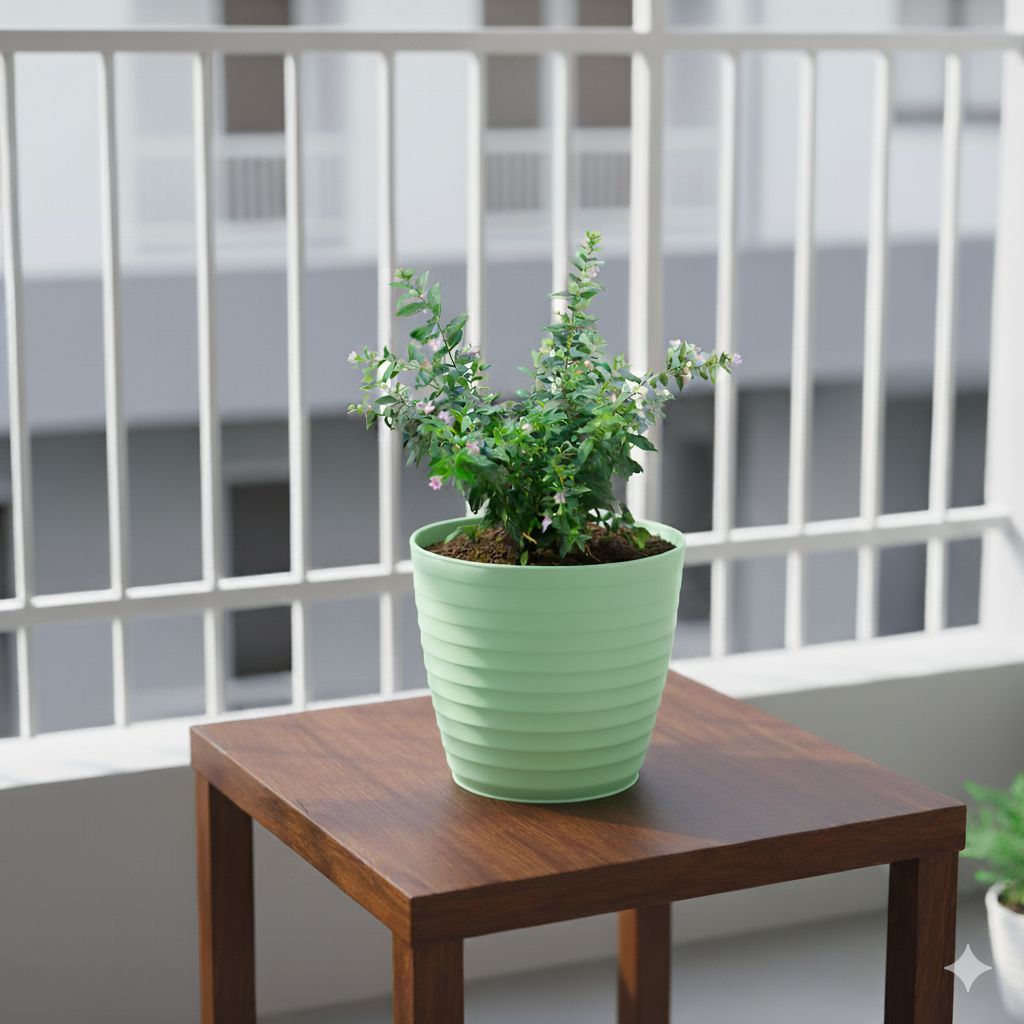 Cuphea / False Heather White in 5 Inch Pastel Green Avora Premium Plastic Planter