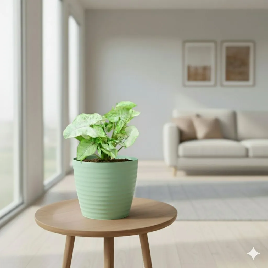 Syngonium Green in 5 Inch Pastel Green Avora Premium Plastic Planter