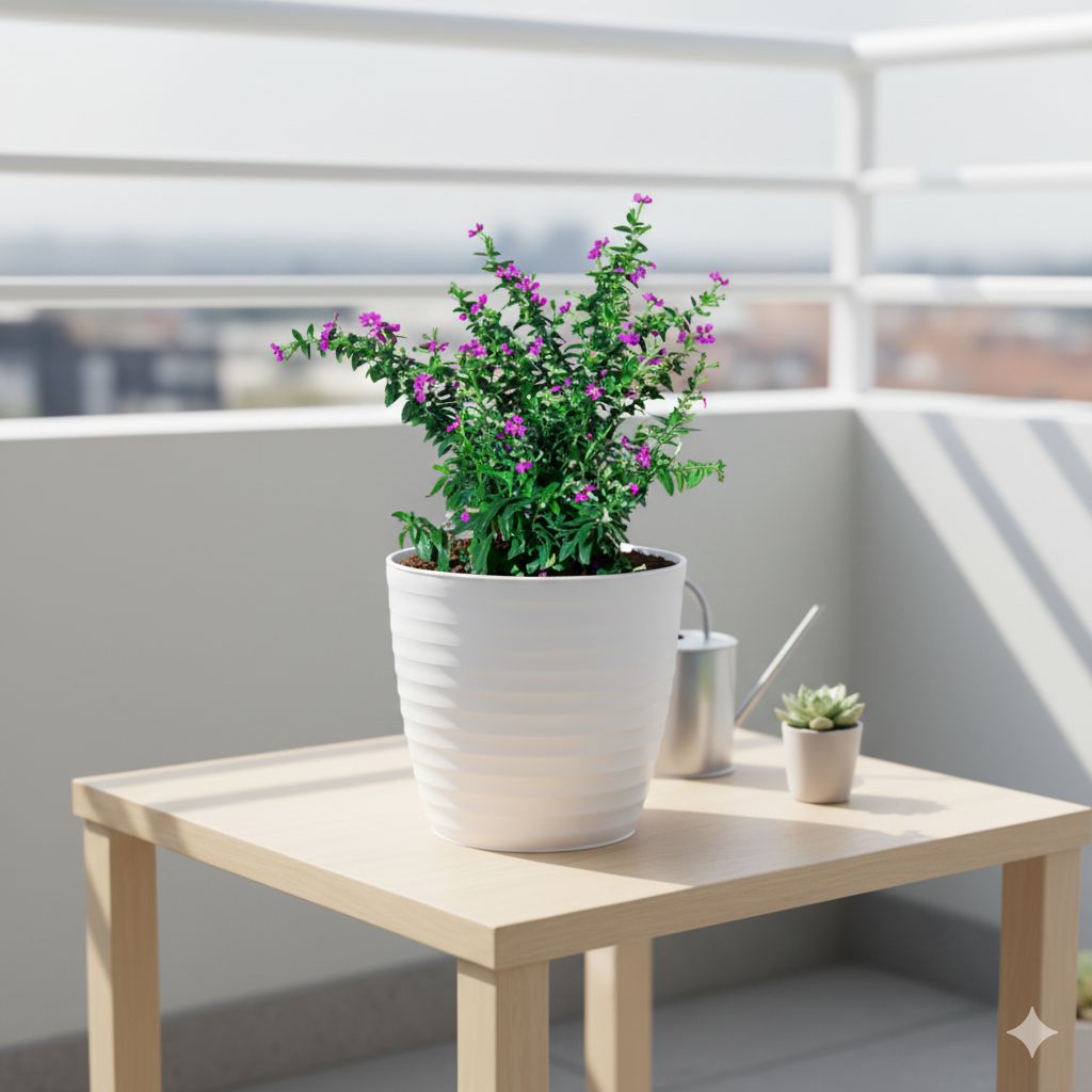 Cuphea / False Heather Pink in 5 Inch White Avora Premium Plastic Planter