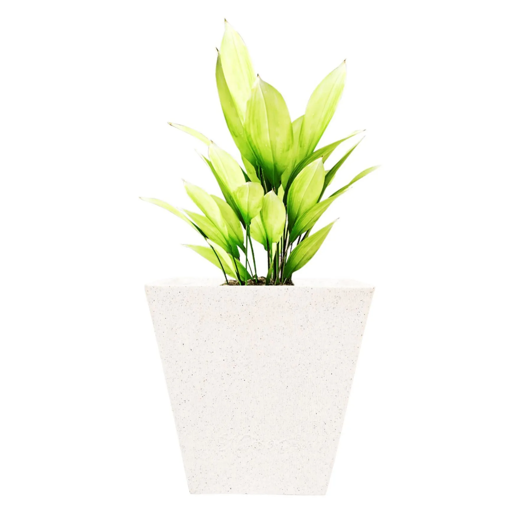 14 x 30 Inch White Premium Makris Fiberglass Planter - Durable large size decoratiive fiber pot for indoor outdoor plants with 5 year warranty