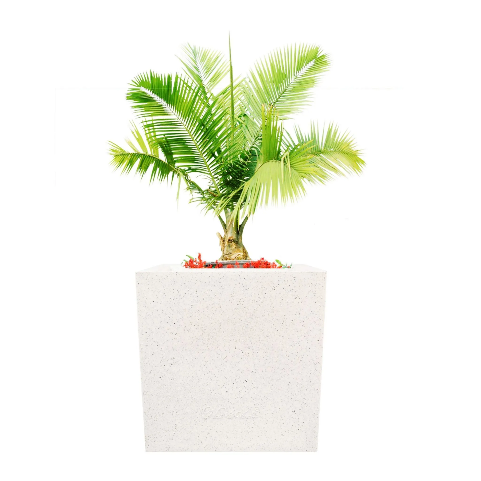 15 x 15 Inch White Premium Kyvos Fiberglass Planter - Durable large size decoratiive fiber pot for indoor outdoor plants with 5 year warranty