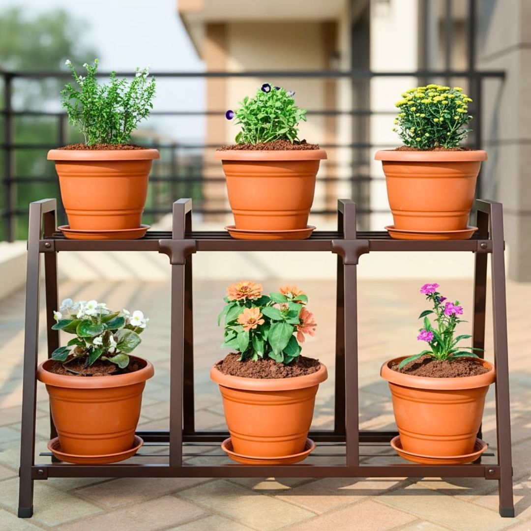 Set of 6 - Dianthus, Zinnia Orange, Begonia, Torenia / Wishbone Blue, Cuphea White & Chrysanthemum (Any Colour) in 8 Inch Terracotta Red Classy Plastic Pot