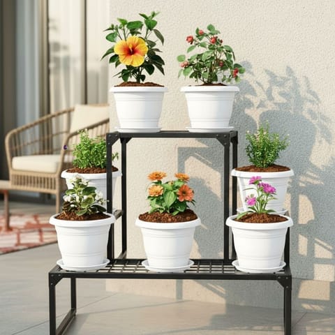 Set of 7 - Dianthus, Zinnia, Begonia White, Torenia / Wishbone Blue, Cuphea White, Salvia & Hibiscus / Gudhal (Any Colour) in 8 Inch White Classy Plastic Pot