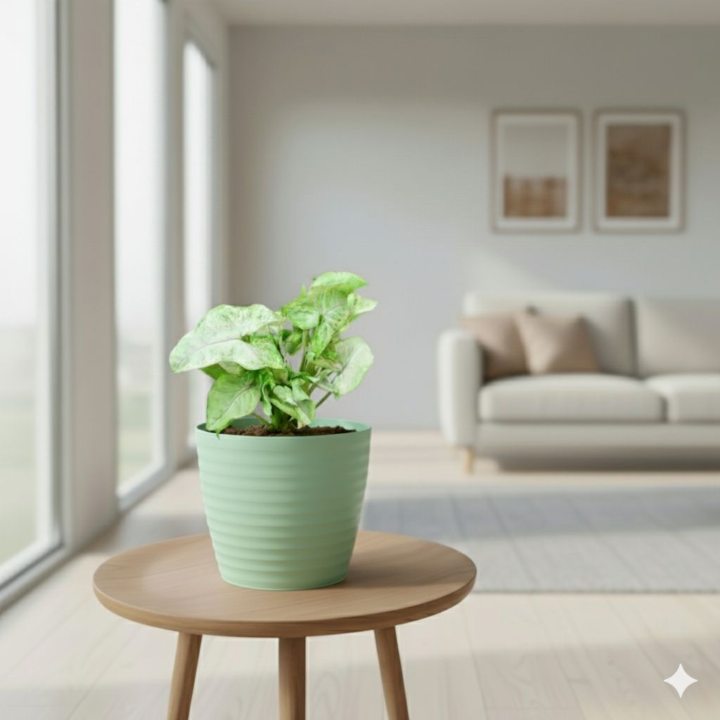 Gift Ready - Syngonium Green in 5 Inch Pastel Green Avora Premium Plastic Planter