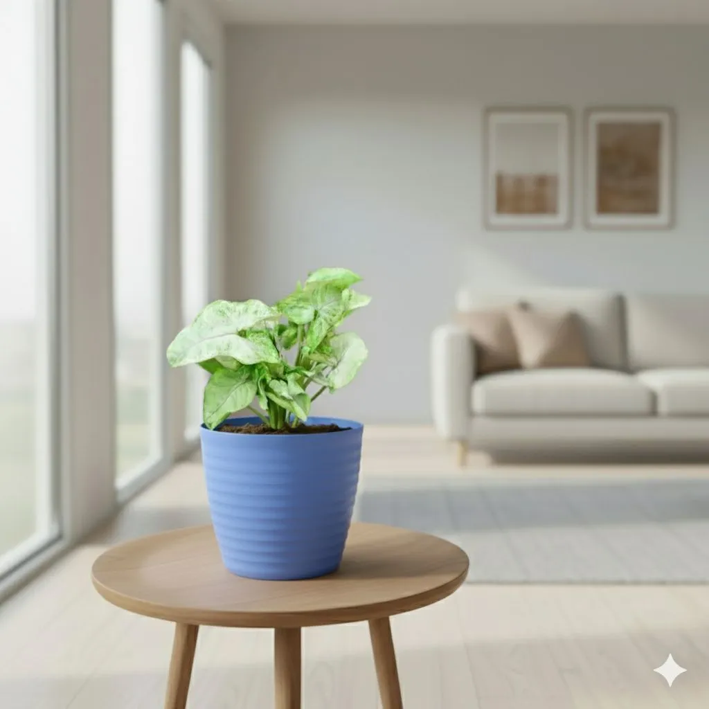 Gift Ready - Syngonium Green in 5 Inch Elvan Blue Avora Premium Plastic Planter