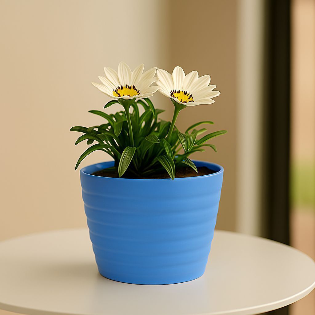 Gift Ready - Gazania (Any Colour) in 5 Inch Elvan Blue Avora Premium Plastic Planter