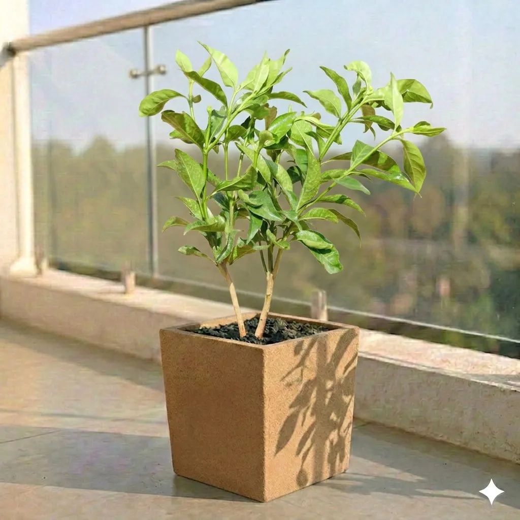 Hibiscus Red in 8 X 8 Inch Sandstone Premium Kyvos Fiberglass Planter