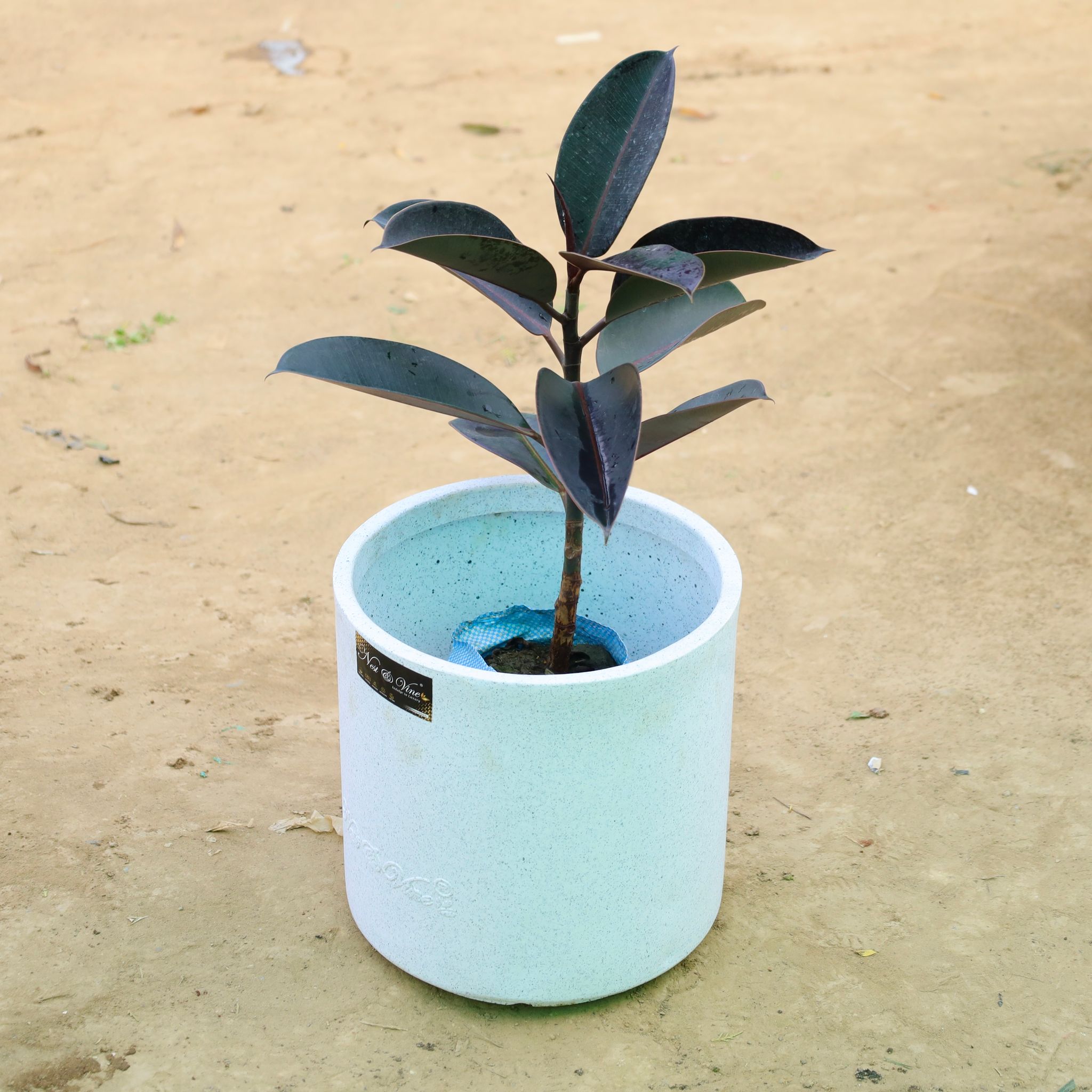 Rubber Black in 11 X 11 Inch White Premium Dochieo Fiberglass Planter