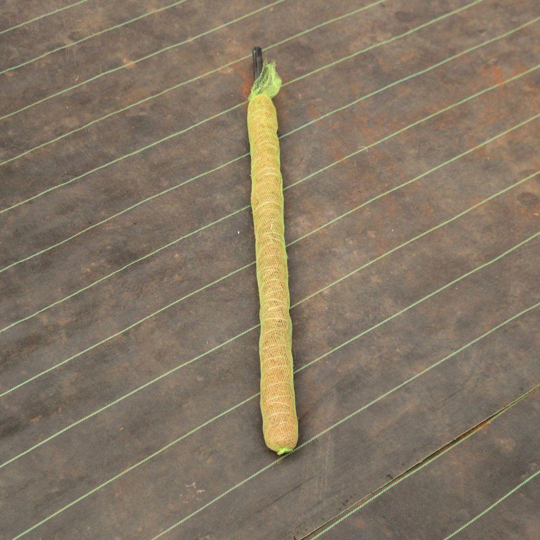 Moss Stick (3 Ft) (1 Pc)