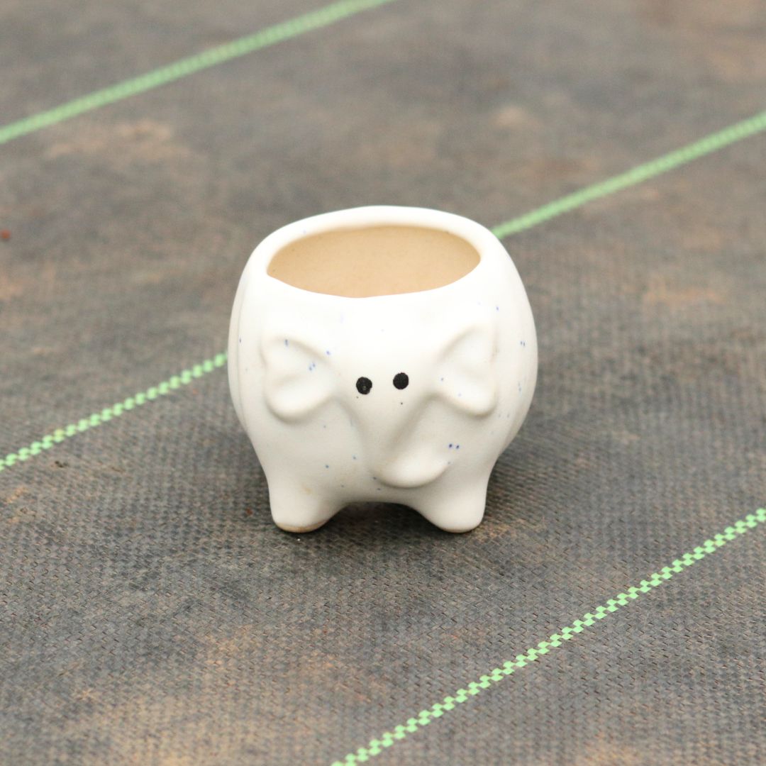 4 Inch White Elephant Designer Ceramic Pot