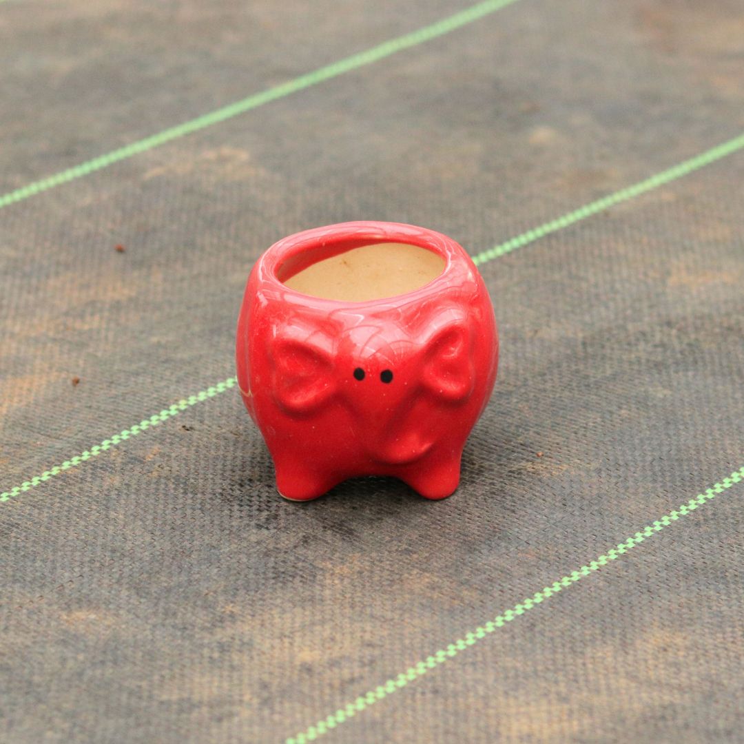 4 Inch Red Elephant Designer Ceramic Pot