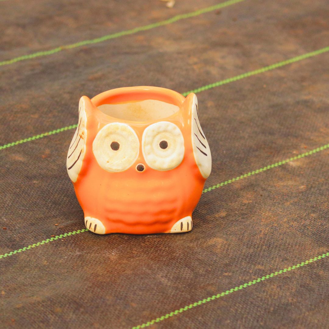 4 Inch Owl Orange Designer Ceramic Pot