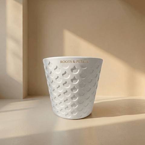 11 inch Pot | Moonlight White Grace Premium Plastic Planter- Premium Highly Durable Big Pot Plant Container Gamla for Indoor Home Decor & Outdoor Balcony Garden