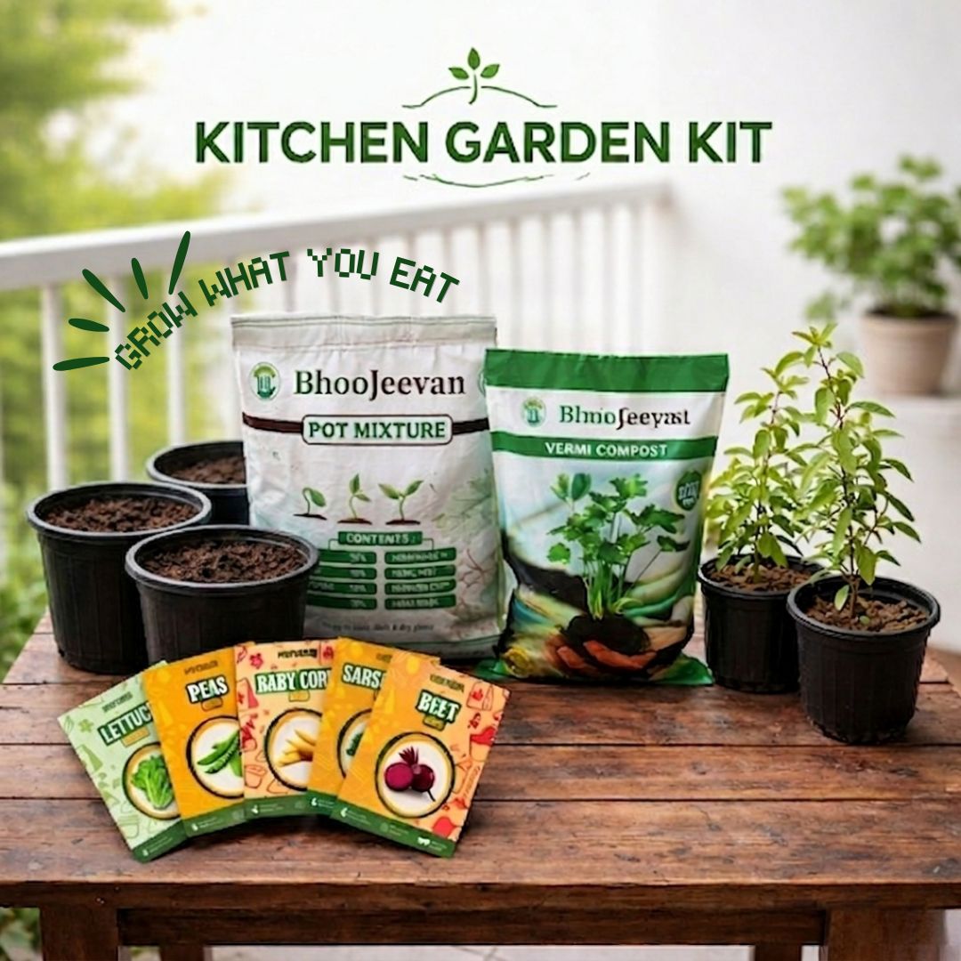 Kitchen Garden Starter Kit 🌱 | 4 Seeds, 4 Pots, 10kg Soil Mix, Vermicompost & 2 Tulsi Plants