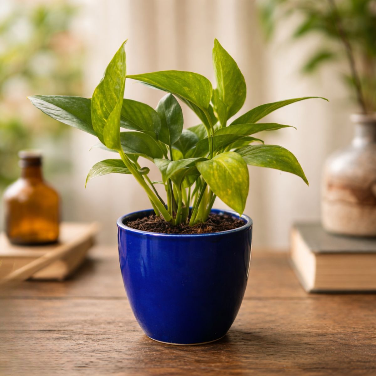 Money Plant Green in 4 Inch Royal Blue Pixel Cup Ceramic Planter