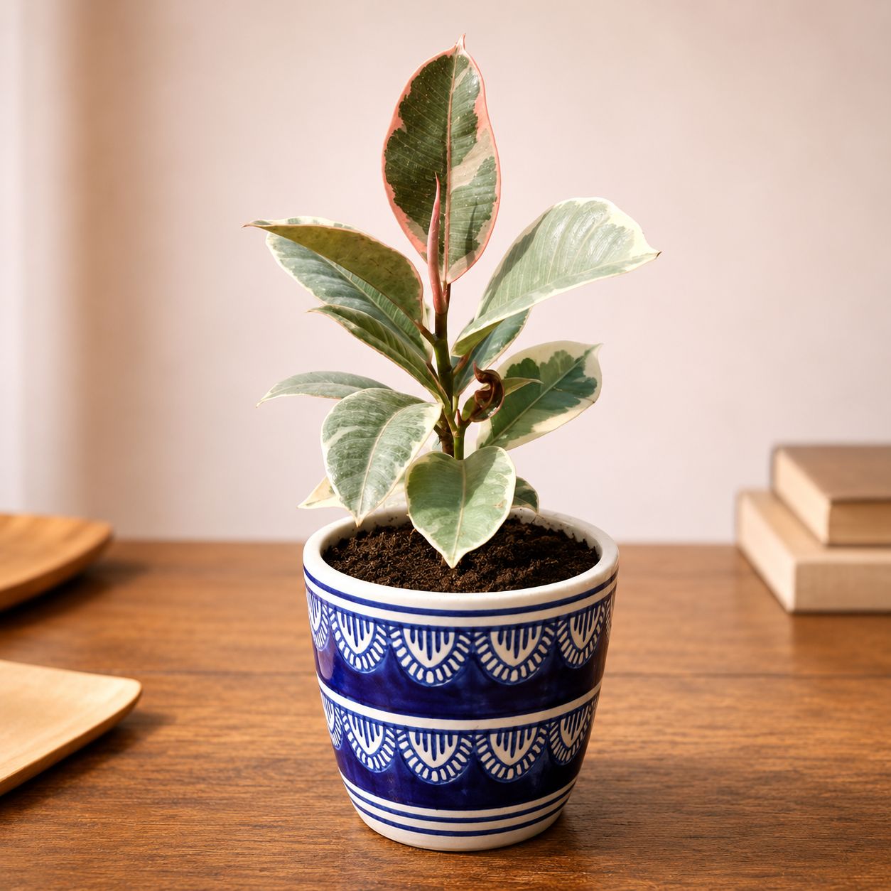 Gift Ready - Rubber Vareigated White in 4 Inch Heritage Noir Pixel Cup Ceramic Planter - In Premium Gifting Box