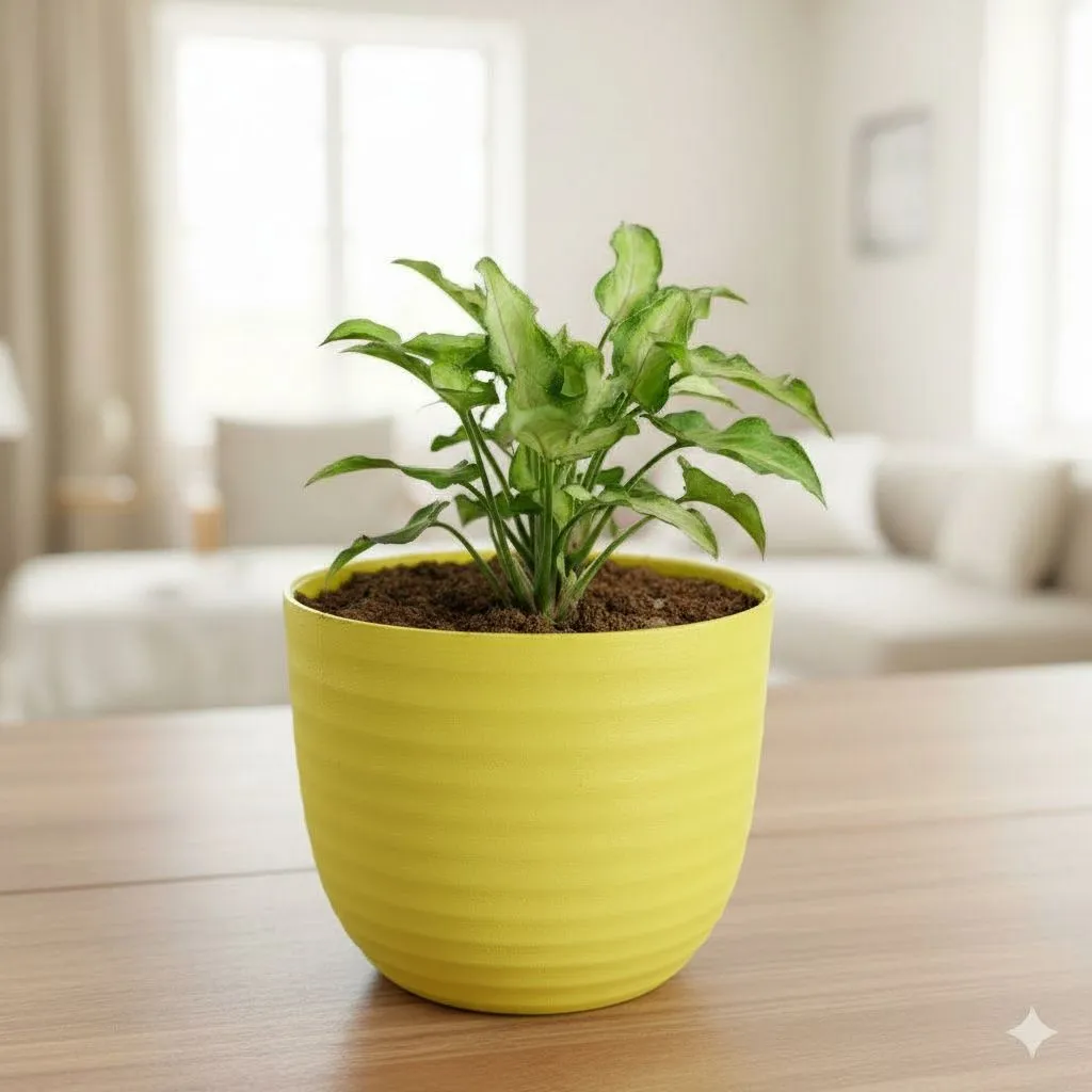Gift Ready - Syngonium Cutglass in 4 Inch Yellow Avora Premium Plastic Planter - with Gift Bag - in Premium Gifting Box