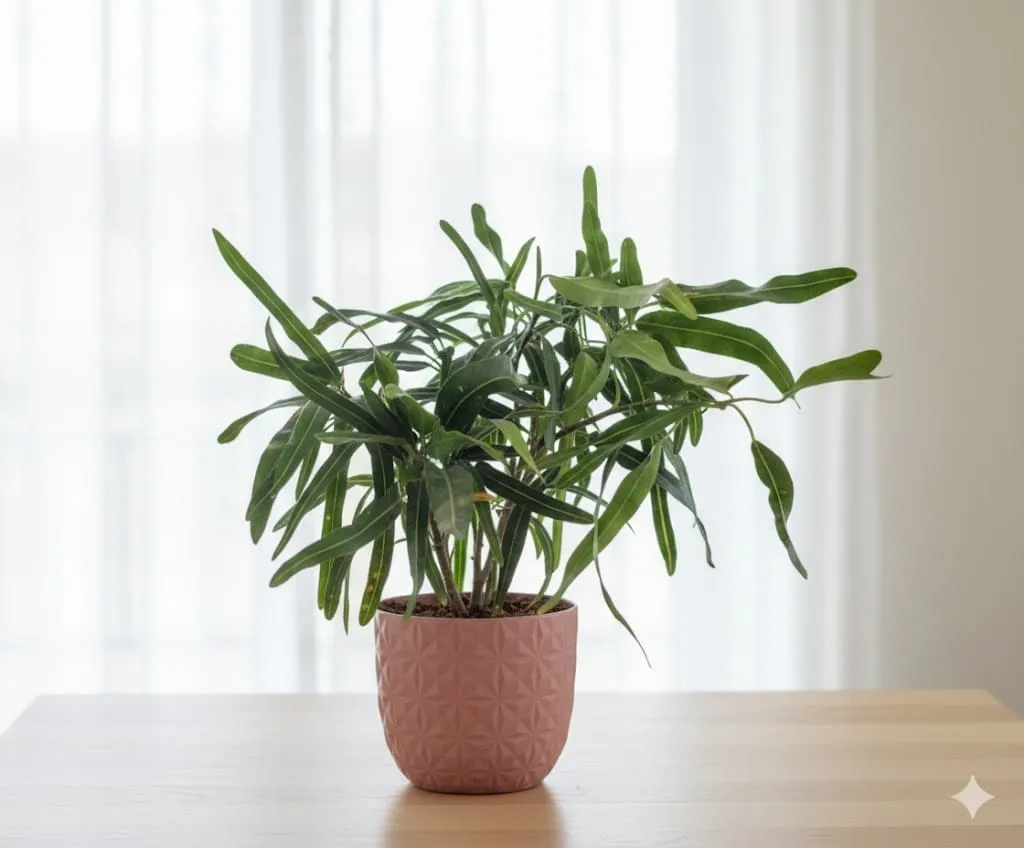Gift Ready - Syngonium Sunny Star in 4 Inch Mocha Leafora Premium Plastic Planter - with Gift Bag - in Premium Gifting Box