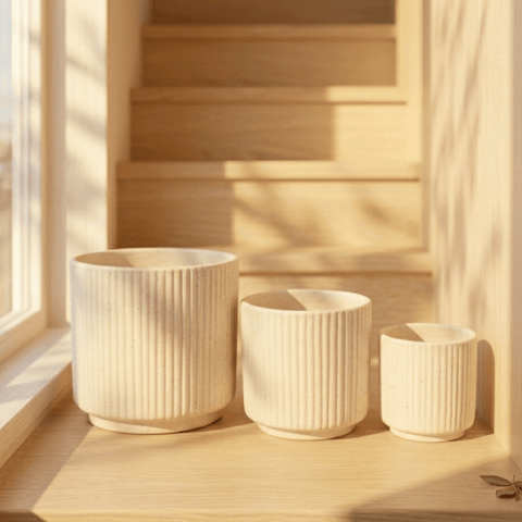 Set of 3 Ceramic Pot | (4, 6 & 8 Inch) White Stem Pipe Trio Ceramic Planter