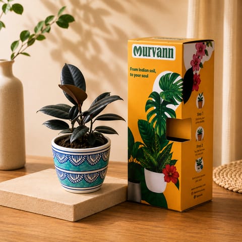 Gift Ready - Rubber Black in 4 Inch Heritage Sky Pixel Cup Ceramic Planter - In Premium Gifting Box