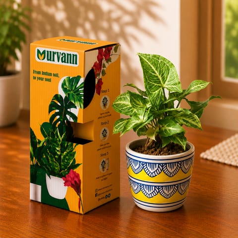 Gift Ready - Syngonium Green Desi in 4 Inch Live Plant Heritage Gold Pixel Cup Ceramic Planter - In Premium Gifting Box
