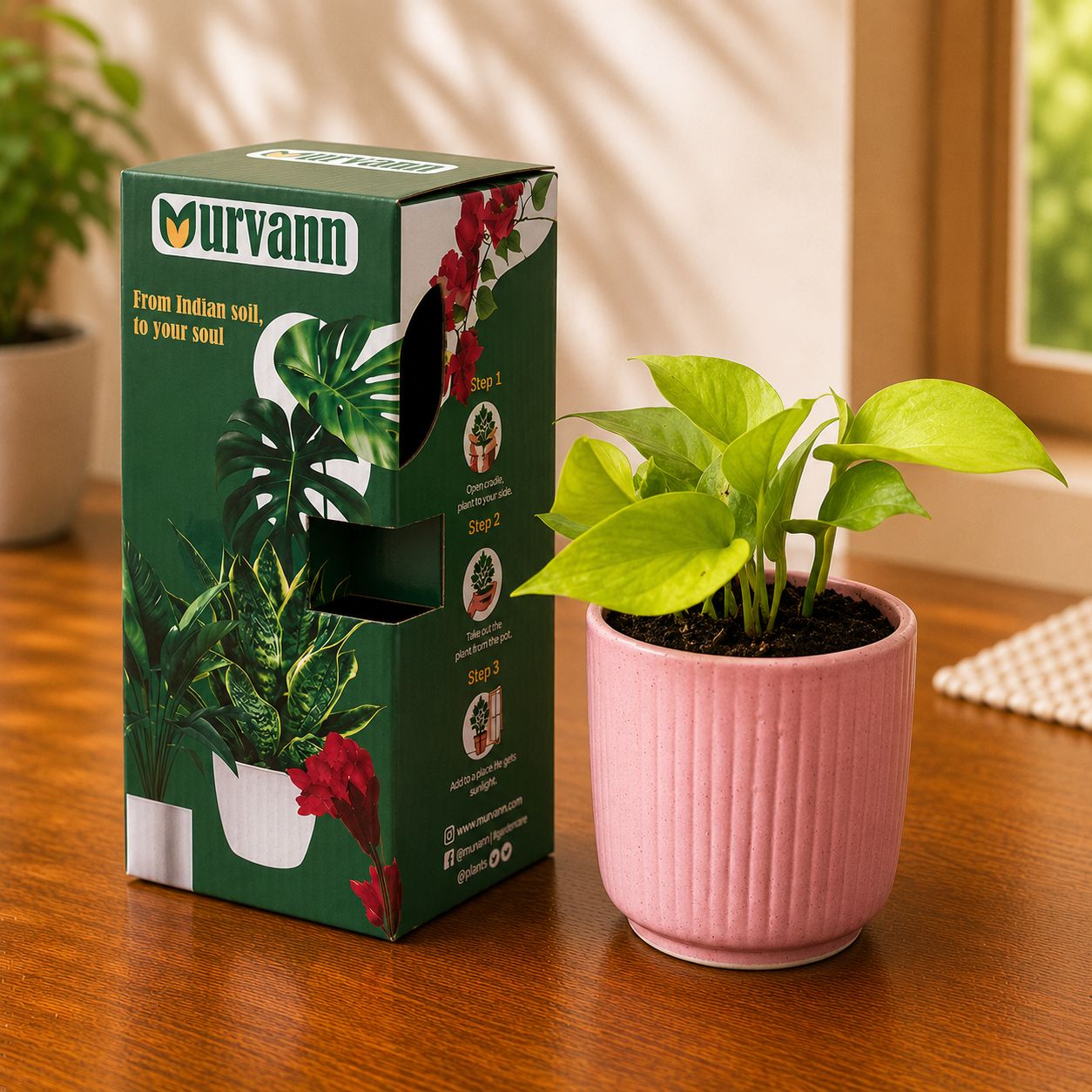 Money Plant Golden in 5 Inch Sand Beige Vine Ceramic Planter - in Premium Gifting Box
