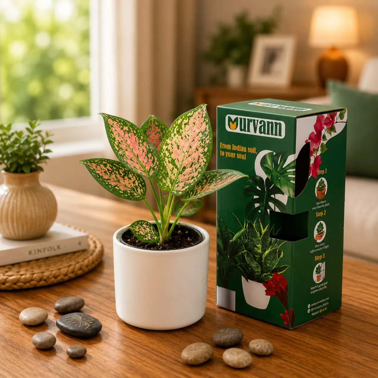 Gift Ready - Aglaonema Pink in 4 Inch White Minimalist Cylindrical Ceramic Pot - in Premium Gifting Box
