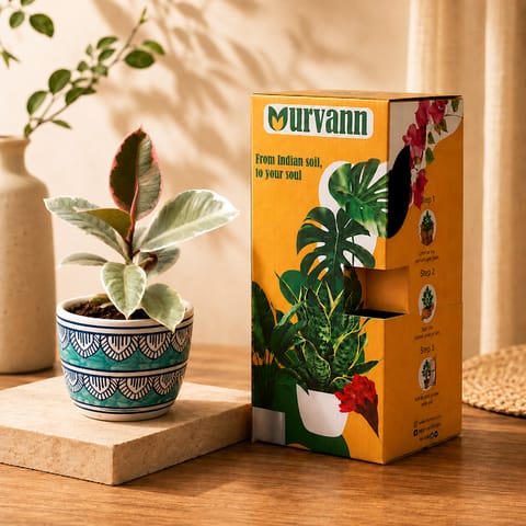 Rubber Vareigated White in 4 Inch Heritage Sky Pixel Cup Ceramic Planter - In Premium Gifting Box