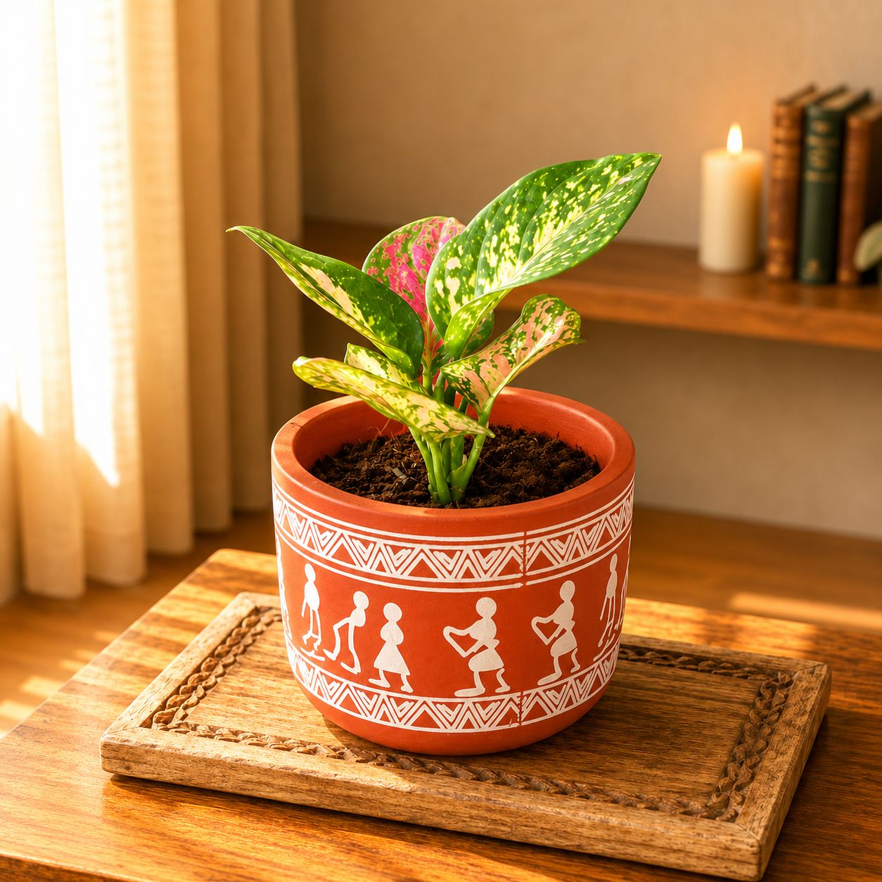 Gift Ready - Aglaonema Pink Dalmation in 4 Inch Boho Warli Art Premium Clay Terracotta Planter - in Premium Gifting Box