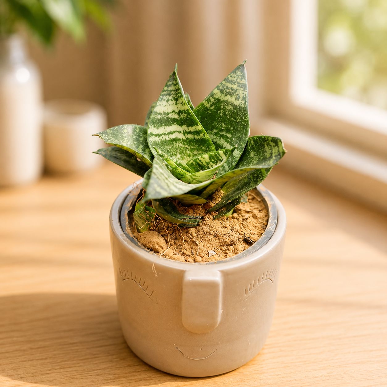 Gift Ready - Snake Green in 3.5 Inch Grey 3D Cute Face Textured Ceramic Pot - in Premium Gifting Box