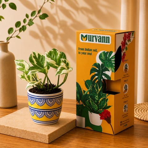 Buy Gift Ready - Marble Money Plant in 4 Inch Live Plant Heritage Gold Pixel Cup Ceramic Planter - In Premium Gifting Box Online at Best Price