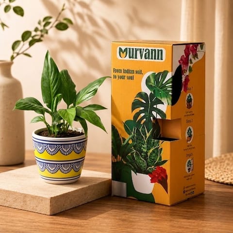 Gift Ready - Peace Lily in 4 Inch Live Plant Heritage Gold Pixel Cup Ceramic Planter - In Premium Gifting Box