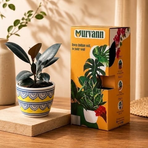 Gift Ready - Rubber Black in 4 Inch Live Plant Heritage Gold Pixel Cup Ceramic Planter - In Premium Gifting Box