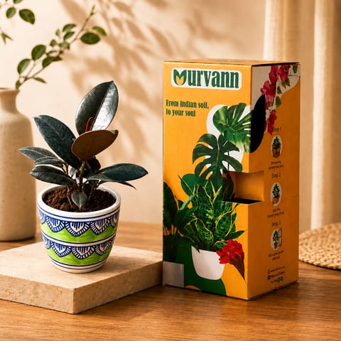 Gift Ready - Rubber Black in 4 Inch Live Plant Heritage Sage Pixel Cup Ceramic Planter - In Premium Gifting Box