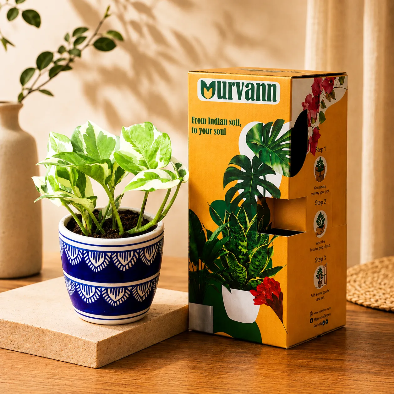Marble Money Plant in 4 Inch Heritage Noir Pixel Cup Ceramic Planter - In Premium Gifting Box