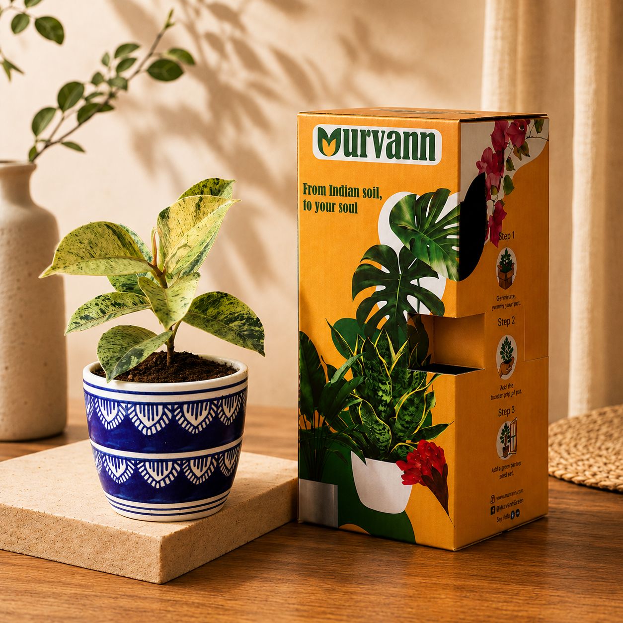 Rubber Variegated Yellow in 4 Inch Heritage Noir Pixel Cup Ceramic Planter - In Premium Gifting Box