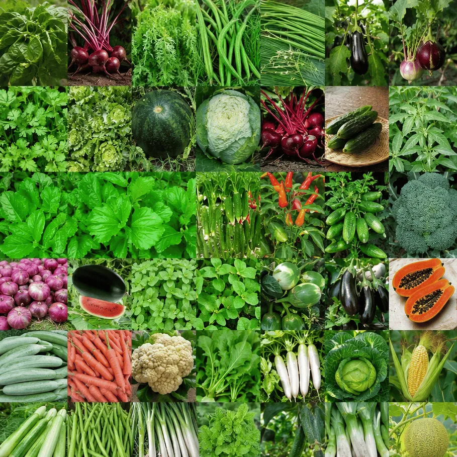 50 Varieties Indian Vegetable Seeds for Home Garden | Easy to Grow | Home Gardening Seeds Combo