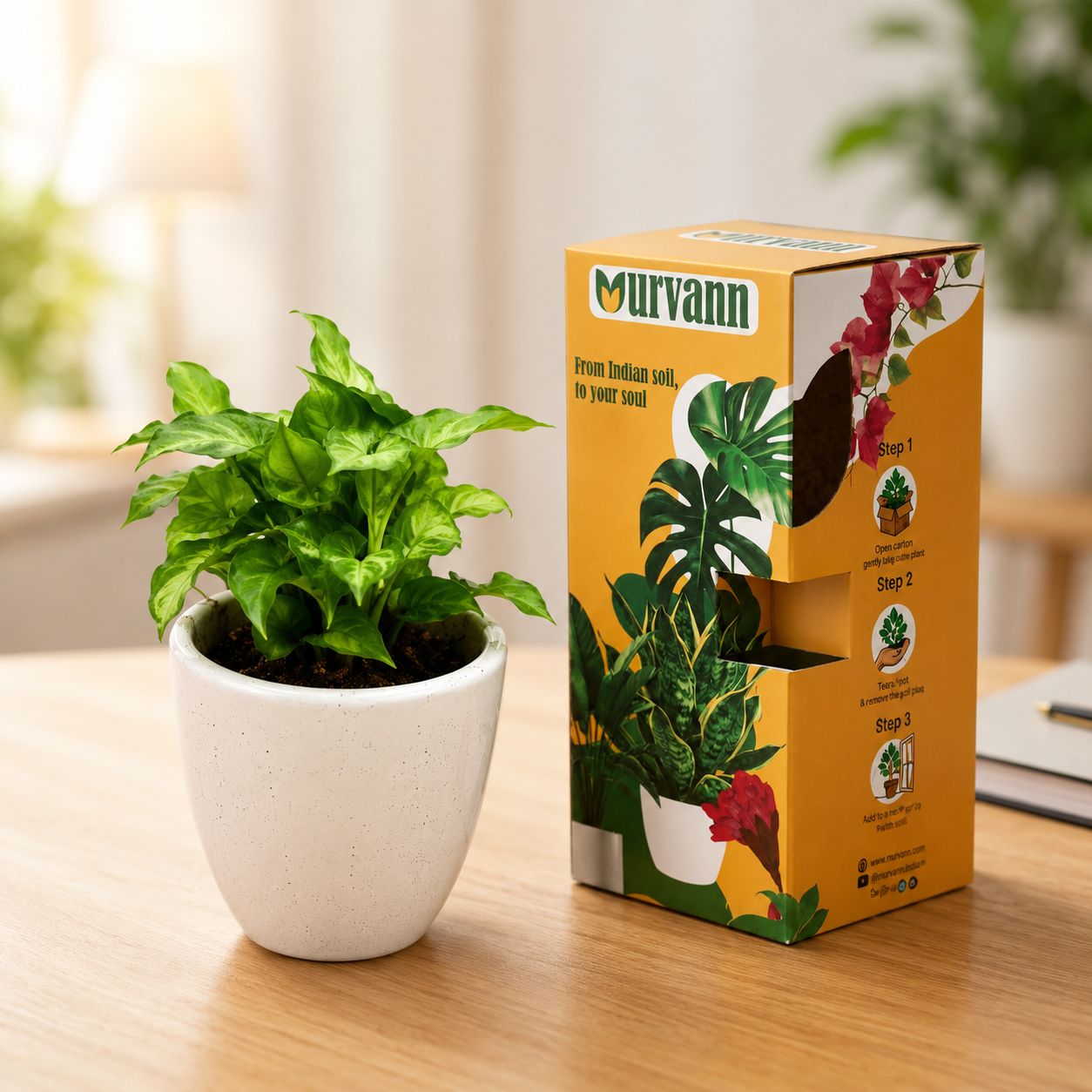 50 Syngonium Plants in 4 Inch Classy White Cup Ceramic Pots - in Premium Gifting Box for bulk corporate gifts