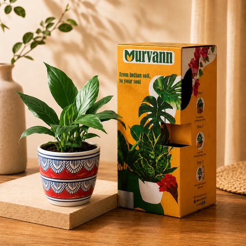 Gift Ready - Peace Lily in 4 Inch Live Plant Heritage Red Pixel Cup Ceramic Planter - In Premium Gifting Box