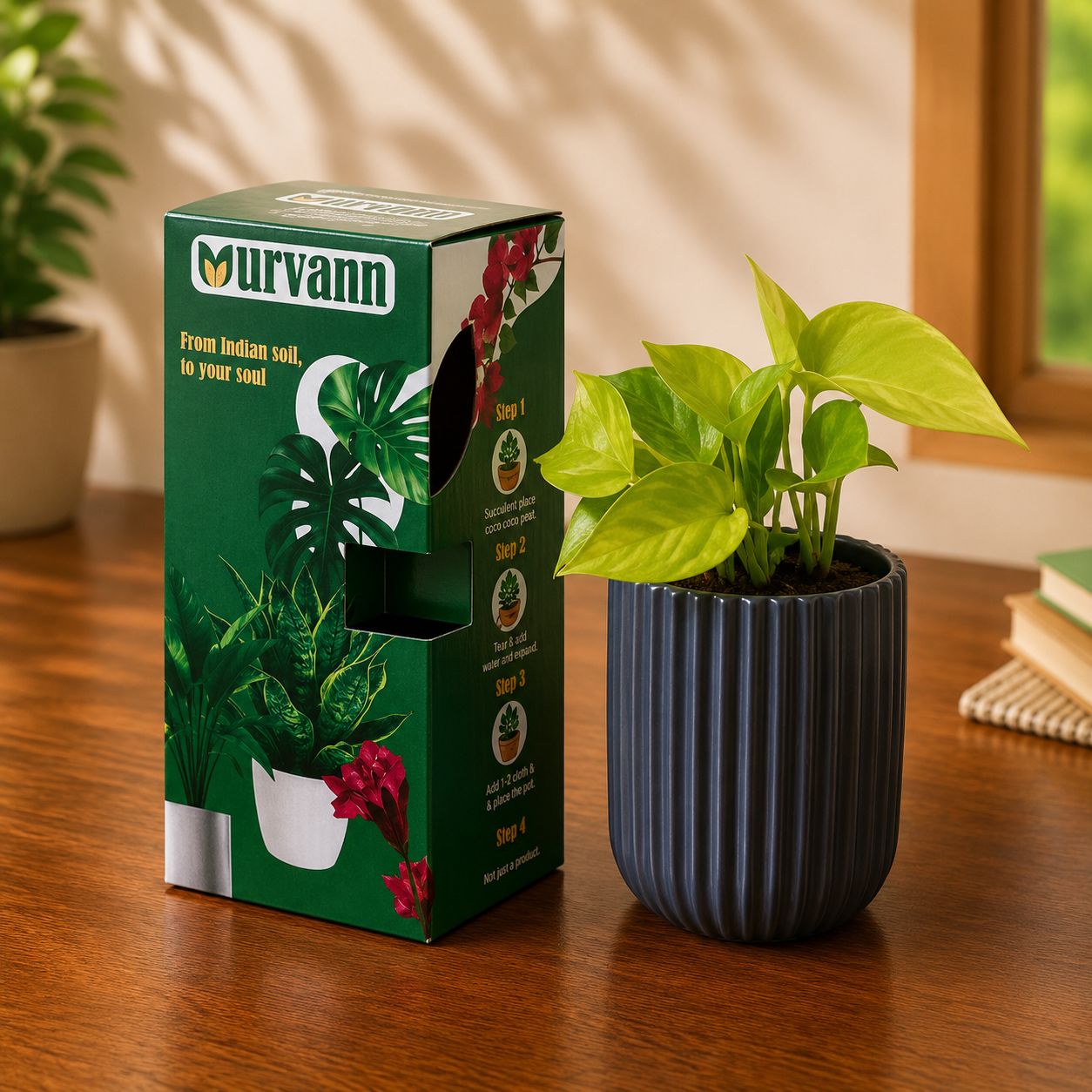 Money Plant Golden in 5 Inch Slate Grey Vine Ceramic Planter - in Premium Gifting Box