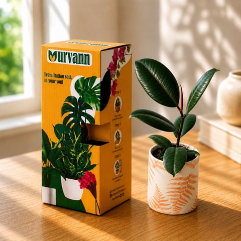 Gift Ready - Money Plant Golden in 4 Inch Live Plant Leaf Garden Stem Pipe Ceramic Planter - in Premium Gifting Box
