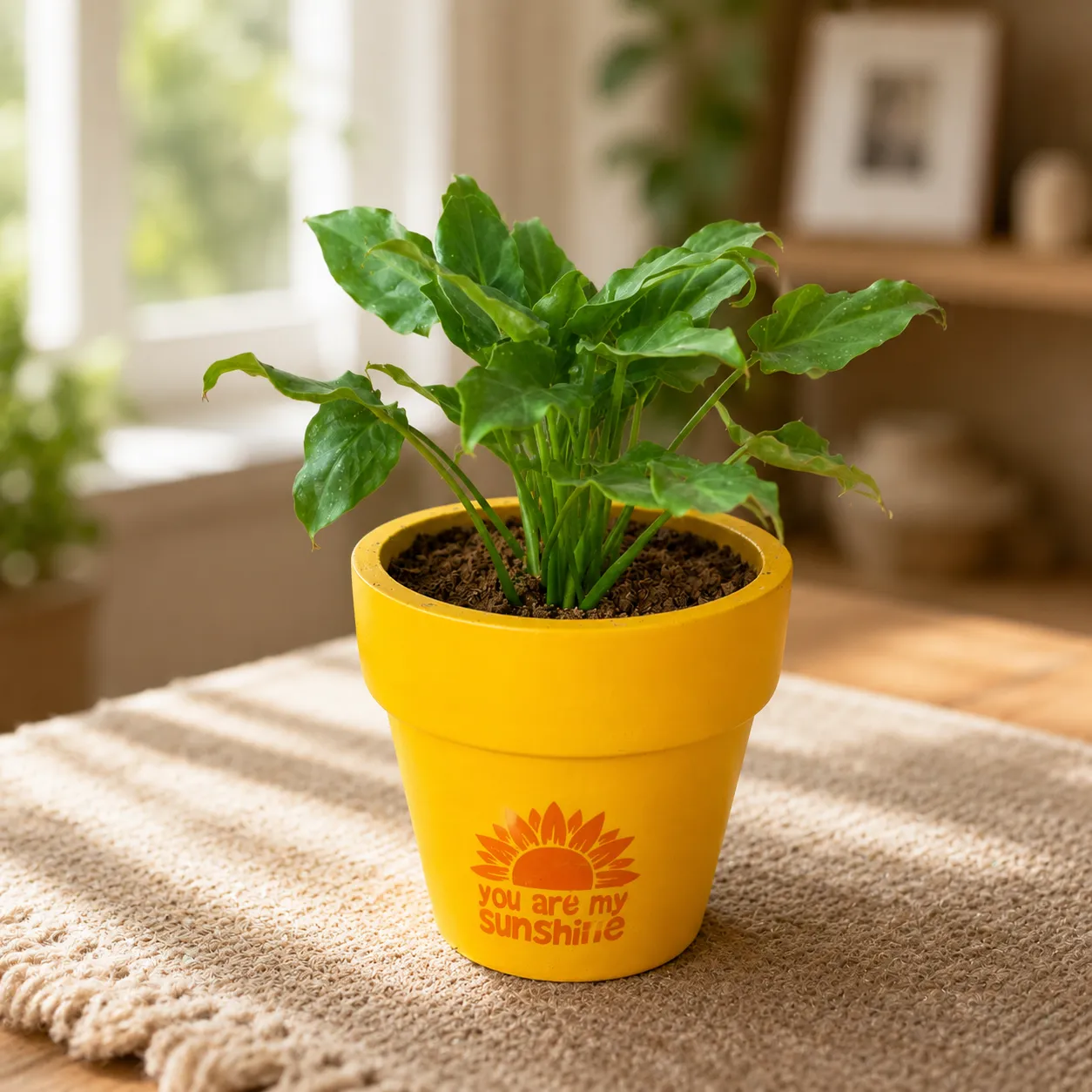Xanadu Green in 4 Inch Happy Sunshine Premium Clay Terracotta Planter - in Premium Gifting Box